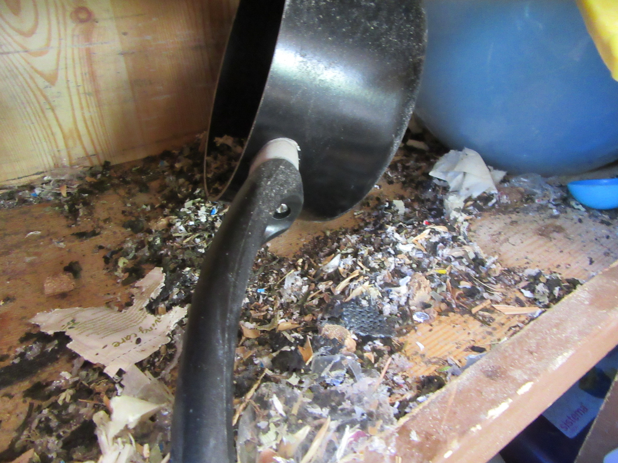 Gross Filth Cleaning Services Christchurch Blood Clean up